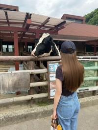 🐮画像