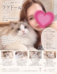 🐈画像